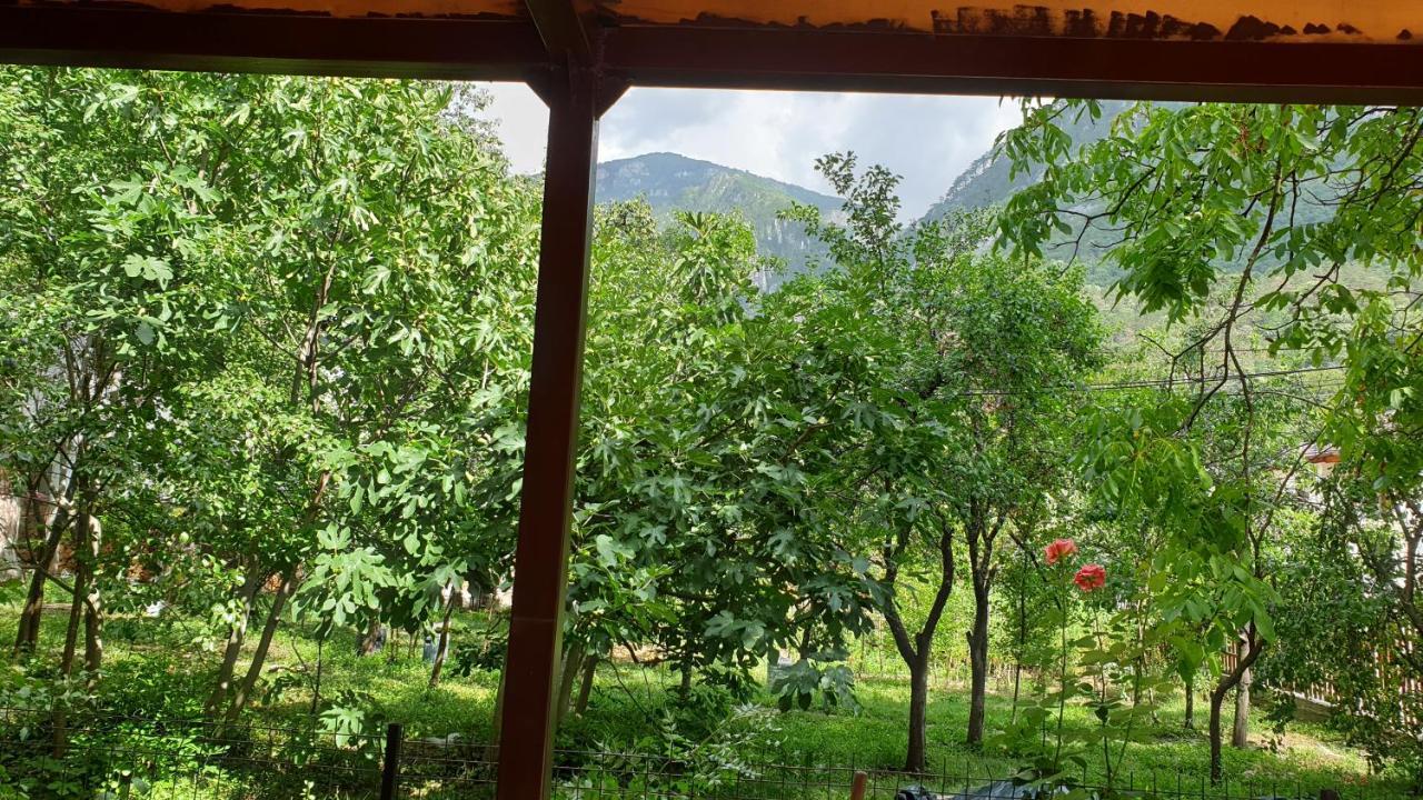 Апартаменты Casa Arion Бэиле-Еркулане Экстерьер фото