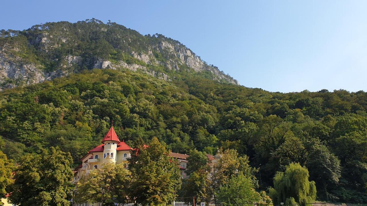Апартаменты Casa Arion Бэиле-Еркулане Экстерьер фото